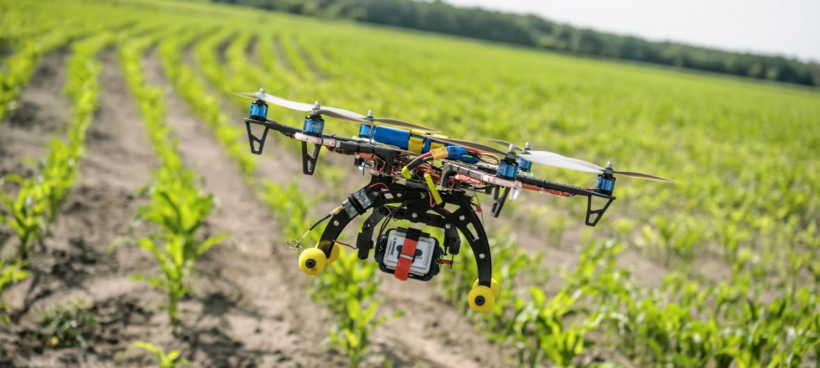 Наблюдение за экосистемой с помощью робота-дрона